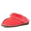 Nantucket Coral
