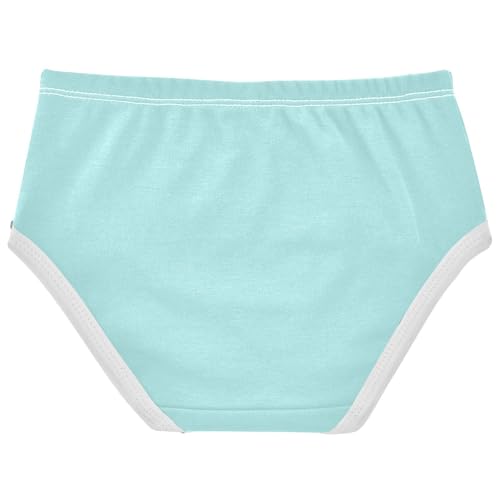 Joisal Florals Toddlers Underwear Floral 2t Cotton Panties Little Girl Pale Turquoise Blue Briefs Girls Undies2