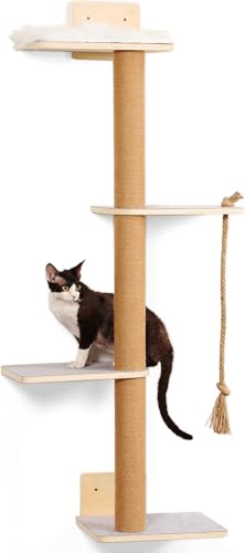 CoolEx Wall Mounted Cat Tree,50 Inch Tall Wall Cat Tree,4 Tier Cat Climbing Wall Shelves with Scratcher Post for Indoor Cats Activity,Cat Wall Furniture with Soft Felt Pads & Cushion