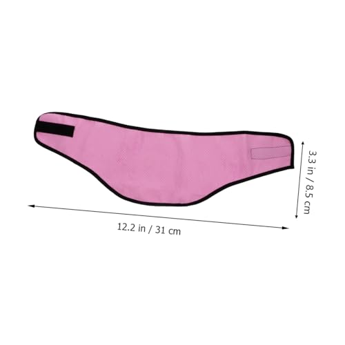 Serviette de refroidissement pour chien pour balades - 3