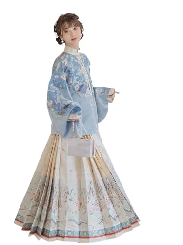 Jupe visage de cheval Hanfu bleu de la dynastie Ming, artisanat style chinois X