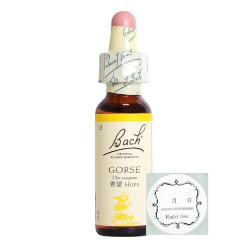 GORSE（ゴース）