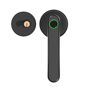 Honghong Wen Hong Bluetooth Biometrische Vingerafdruk Deurslot APP Controle Smart Deurslot Vingerafdruk Elektronisch…