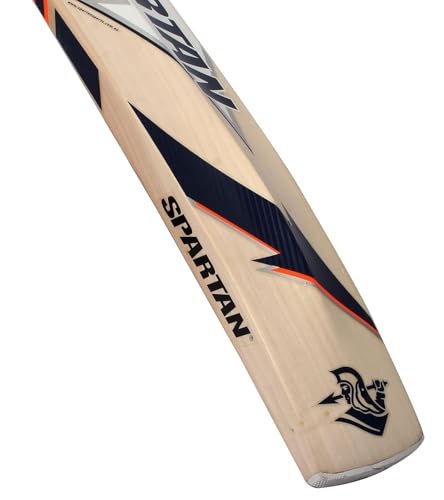 Image of Pro Primium SPL Popular Willow Cricket Bat - Lightweight Pickup, Strong Blade, Ideal for Soft & Hard Tennis Ball Practice & Match (P SPRTN)