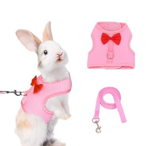 AIITLE Rabbit Harness and Leash Set with Cute Bow, Soft Breathable Mesh Vest Harness for Rabbits Kitten Ferret Puppy Small Pets Walking Supplies Pink L
