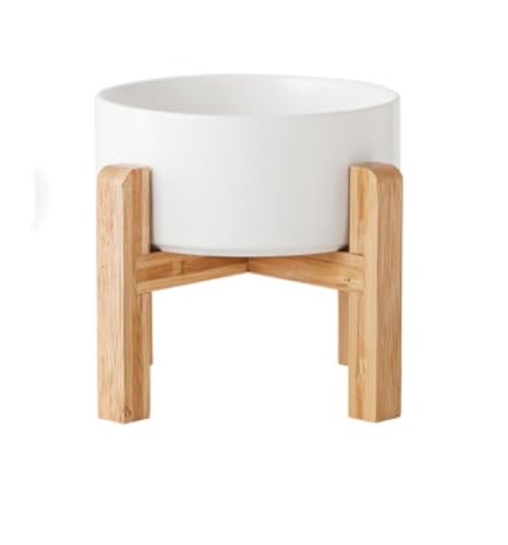 ybg{E L  H t[h{E EH[^[{E L  M   L  ؐX^ht 芴 ]|h~ O a  Lp ybgpi ({E-̒Pؘ̖g,15.5CM/850ML)