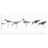 Stupell Industries Minimal Beach Bird Sandpipers Wall Plaque