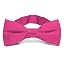 Bright Fuchsia