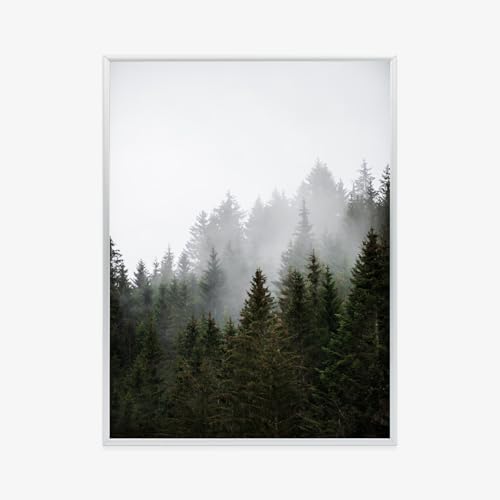 Poster brouillard forêt Wallero avec cadre en aluminium argenté durable