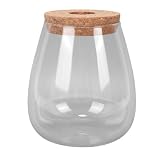 OEBUAFI Vaso Idroponico in Vetro Ovale per Piante, Terrario, Contenitore per Coltura di Acqua Trasparente, Fioriera da Tavolo per Scrivania, Decorazione del Giardino di Casa
