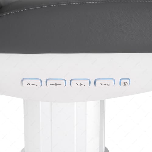 GreenLife 4 Motor Luxury Electric Facial Bed/Table Professional Medical Exam Chair Salon Beauty Bed Equipment Spa Care Aesthetic Chair Adjustment Silverfox 2222BN (Grey) - Image 7