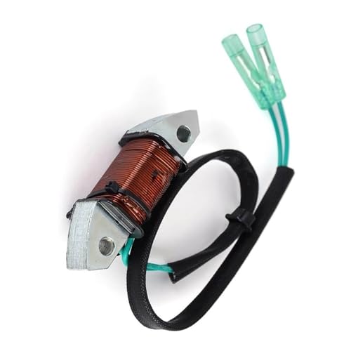 Stator d'allumage pour moteur de bateau 30HP millésimes 1993-2012