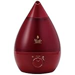 アピックスの加湿器 FSWD-1200RD [ルビーレッド]