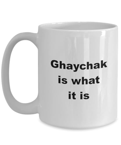 Ghaychak, Persian Ghaychak, Cheychak Player Gift, Bowed Lute, Iranian Instrument, Middle Eastern Music, Traditional Ghaychak, World Music, Persian Cul