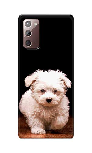Image of PRINTFIDAA� Printed Hard Back Cover Case for Samsung Galaxy Note 20 4G | Note 20 5G Back Cover (Puppy Dog) -2808