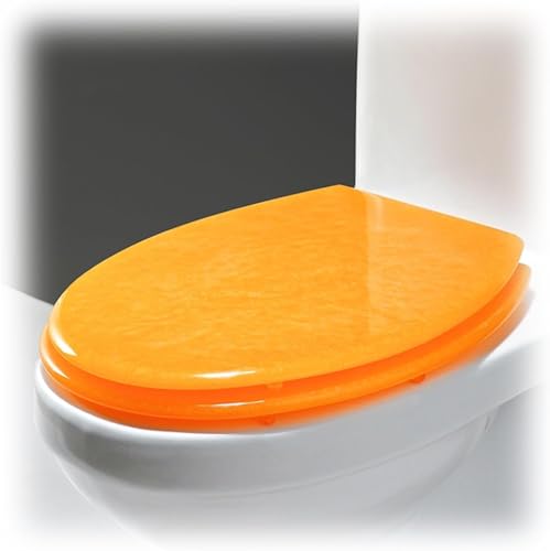 É֍Jo[ \tgN[Y@\ƃNCbN[X݌vtbVgCV[g(Orange)