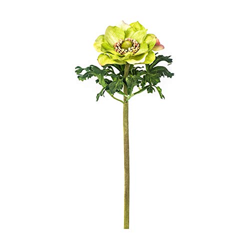 ANEMONA Claro 39 cm objet déco bicolore blanc vert résistant lot de 12