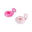 Pink Flamingo and Swan