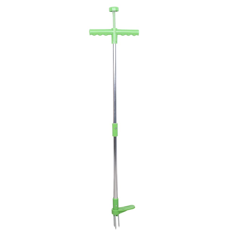 Queeucaer Dandelion cutter,Weed Cutter Weeder Stand Up Metal Ruderal Remover Garden Tool,with Three jaw for Efficient Weed Removal, Garden Tool, Easy Weeding, No Bending Necessary,Silver+Green