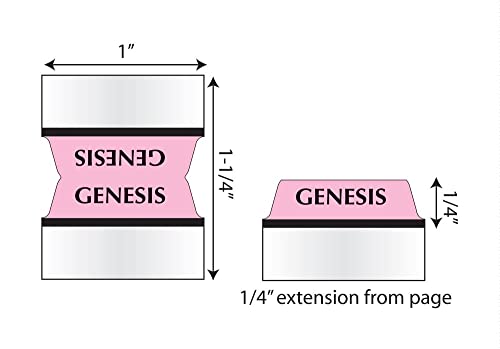 Tabbies Rainbow Bible Indexing Tabs, Old & New Testaments, 80 Tabs Including 64 Books & 16 Reference Tabs, Multi-Colored (58346), Rainbow Colored