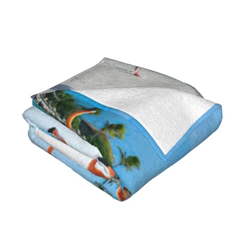 Couverture en flanelle super douce microfibre thermorégulatrice imprimé plage - 3