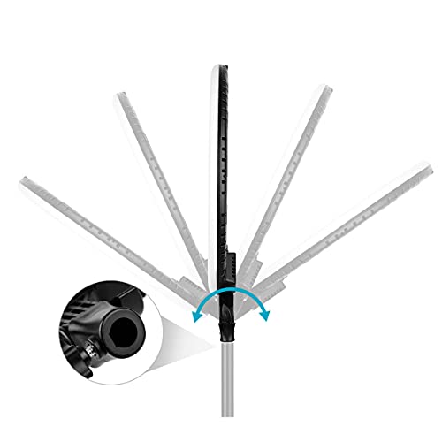 Ring Light colorida RGB 26cm com tripé instagram tik tok