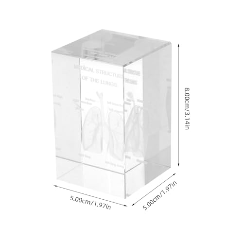 Modèle Anatomique Cœur Poumons Cube Cristal 3D pour Étude Médicale