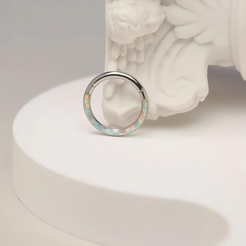 Image of PEAKLINK 16G 18G 316L Stainless Steel CZ /OPAL Septum Piercing Septum Clicker Ring Hinged Nose Ring Daith Earrings Conch Piercing Jewelry Helix Cartilage Tragus Lobe Belly Hoop Earring