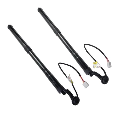 ���A�g�����N���t�g�T�|�[�g �p ���N�T�X NX300 NX300h AZ10 2018-2021 2�� ���A���E�e�[���Q�[�g �K�X�X�g���b�g 6892079017 6891079017(Left and Right)