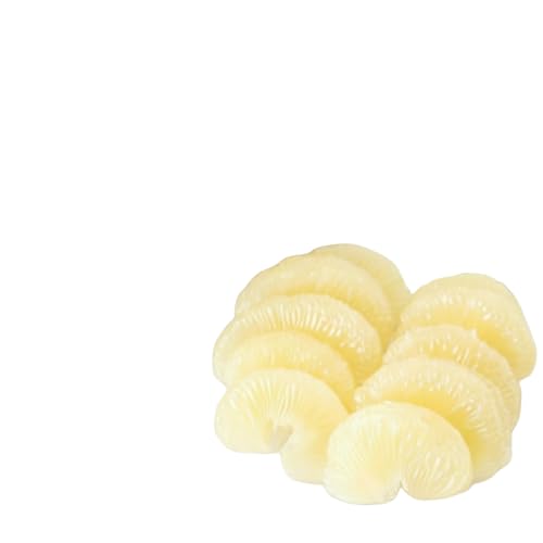 厳選 温室土佐文旦 大玉 2玉[贈答用木箱入り]約600g×2個 [BQBJ003]