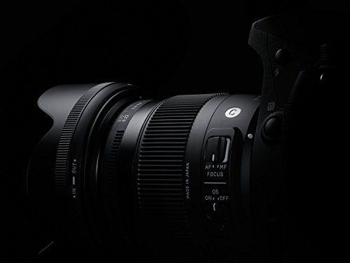 Objetivo Sigma 17-70mm F2.8-4 Canon Macro OS HSM - Fernando Cortés