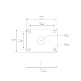 Zoom IMG-1 banworks plastic guitar jack plate