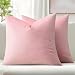 MIULEE Pack of 2 Decorative Velvet Pillow Covers Soft Square Throw Pillow Covers Soild Cushion Covers Pink Pillow Cases for Sofa Bedroom Car 18 x 18 Inch 45 x 45 cm