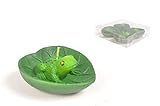 Set de 4 Bougies Grenouille sur nénuphar dans boîte PVC