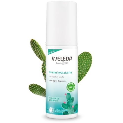 WELEDA Hydramist Bruma Facial Hidratante de Extracto de Cactus, 100 Mililitros