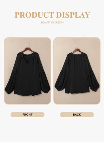 Eytino Women Plus Size Tops Summer V Neck Long Sleeve Button Down Pleated Business Work Blouse Shirts(1X-5X)4