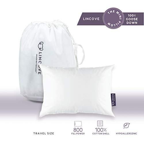 Best Down Travel Pillow