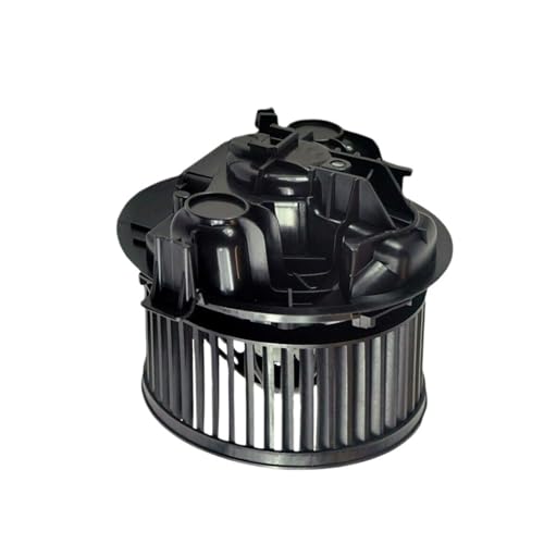 NBJKdfsG Compatible con el Ventilador del Motor del Calentador Renault Megane MK2 con Aire Acondicionado (02-ON) 7701056965