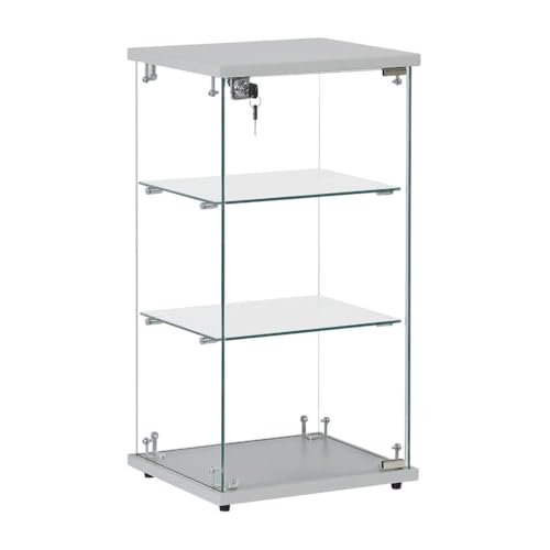 Frameless Lockable Glass Display Cabinet with 2 Shelves | Countertop Showcase for Retail, Jewelry, and Collectibles | Secure Countertop & Floor Standing Showcases for Merchandise (Silver)
