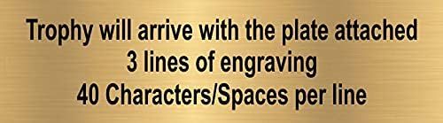 Miniatura 6 de Monstruo grande con trofeo de inserción, 9.5 pulgadas de alto, premio de la bestia de la victoria grabado con inserciones temáticas, personaliza