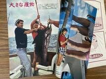 Amazon.co.jp: 週刊平凡昭和37年1月31日号 表紙・力道山、大鵬ら 石原
