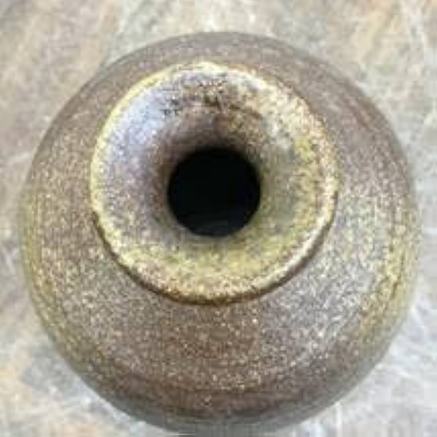 Amazon.co.jp: 信楽大壺 信楽焼 信山造 花瓶 高さ約25.5cm 花器