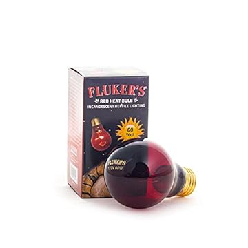 best heat bulb for leopard gecko
