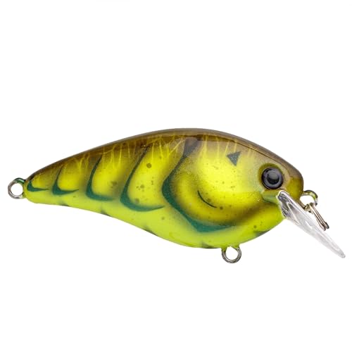 Crankbait Strike King KVD Elite 1.5 poisson nageur silencieux - 5