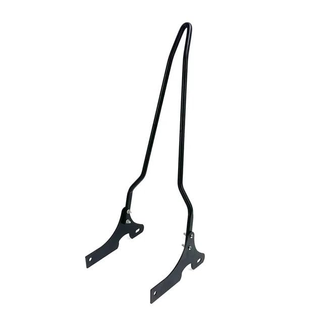 Coussin appui-dos de passager amovible intégré pour moto Sportster X48