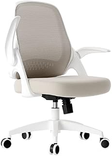 Hbada Office Chair Desk Chair Flip-up Armrest Ergonomic Task Chair Compact 120° Locking 360° Rotation Seat Surface Lift Reinforced Nylon Resin Base, Grey