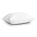 EDOW Throw Pillow Inserts, Set of 2 Lightweight Down Alternative Polyester Pillow, Couch Cushion, Sham Stuffer, Machine Washable. (White, 16x16)