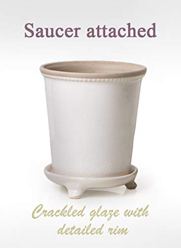 Serene Spaces Living White Vintage Flower Pot, Antique Ceramic Plant Pot and Saucer, Planter with Beading Around Rim – Attached Saucer Elevates Pot – Pot Includes a Drainage Hole - White, 7” H x 6” D
