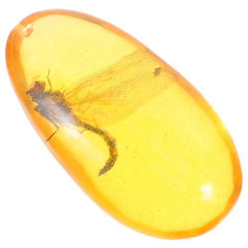 Veemoon Insect Specimen Resin Dragonfly Insect Sample for Home Decor Natural Stone Collectible for Display and Decoration Approximately