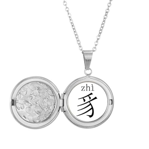 Collier médaillon chinois Compnt Zhi pendentif femme chaîne acier